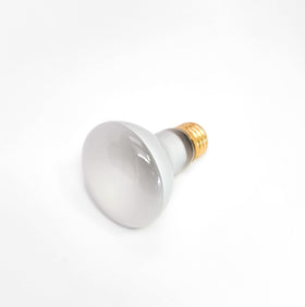 Starlighting 125V R20 base detail highlighting the medium screw-in base.