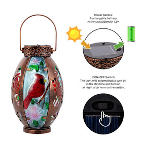 Easy setup with dusk-to-dawn lighting and solar charging by Starsoul.