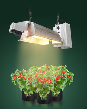 STAYGROW versatile hanging system installation in a workspace
