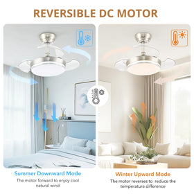 STERREN 30-Inch retractable blades retracted conserving ceiling space in a cozy room.
