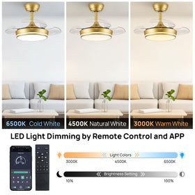 STERREN LED light with 3000K warm white setting.