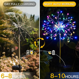 Suddus yard lights brighten sidewalks and flowerbeds with warm hues.