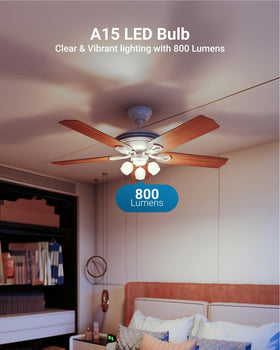 Sunco Lighting CRI92 A15 bulb for vibrant color rendering.