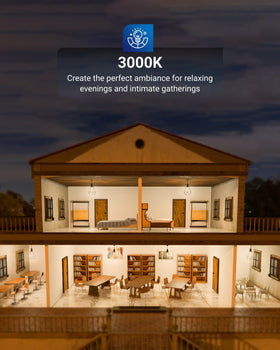 Sunco G25 LED globe bulb with dimmable control enables mood-perfect lighting.