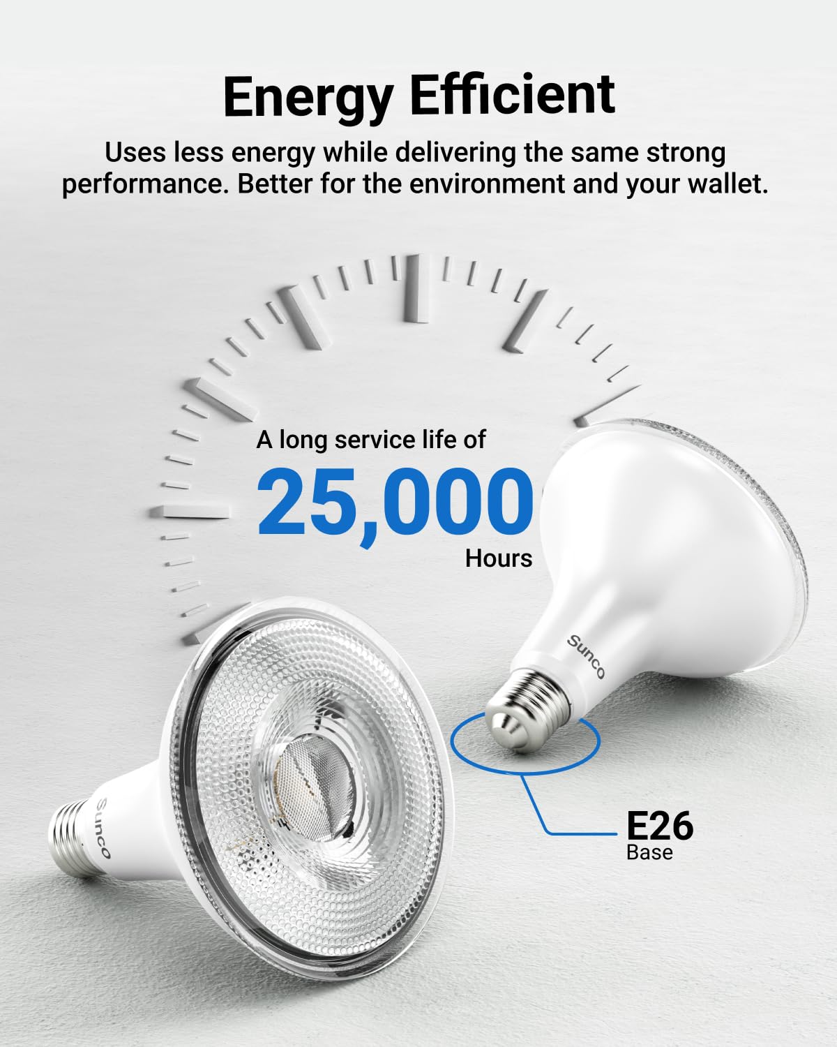 Dusk-to-dawn sensor automatically lights pathways after sunset.