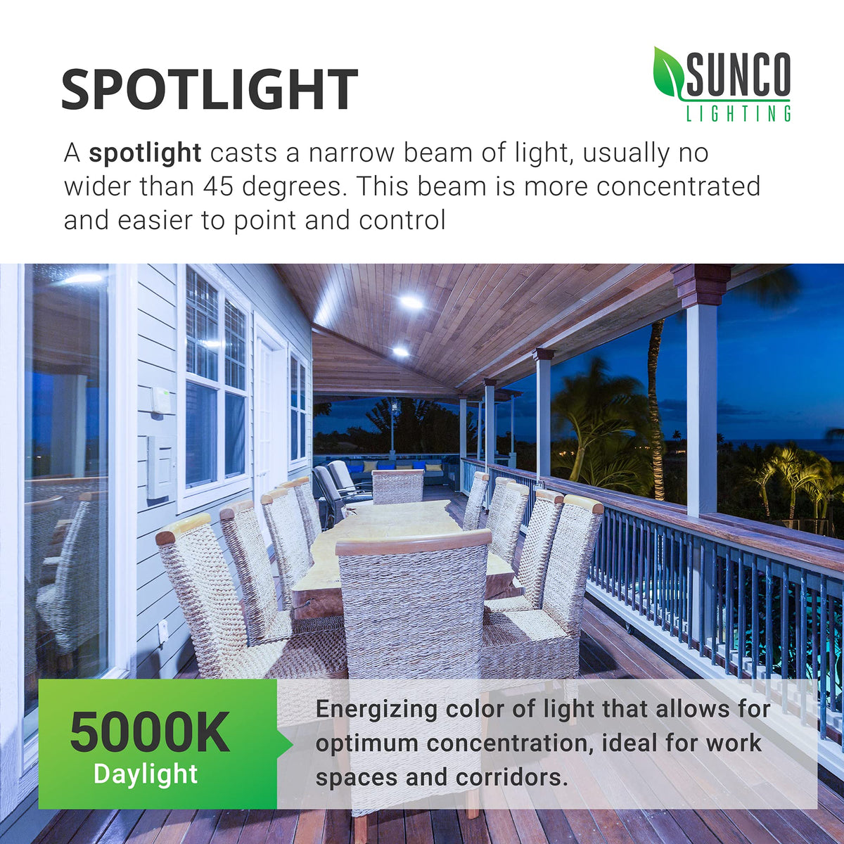 Sunco exterior bulb for porches, yards, and wet-rated spaces.