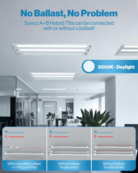 Sunco T8 LED bulbs 4ft clear lens assembly in a workspace