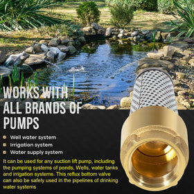 Sunluway foot valve with stainless steel screen detail