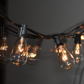 SUNSGNE clear glass Edison bulb for vintage outdoor decor.