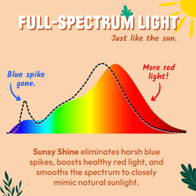 Sunsy Shine dimmable lighting for customizable comfort in any room