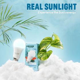 Sunsy Shine flicker-free illumination closeup reduces eye strain during tasks