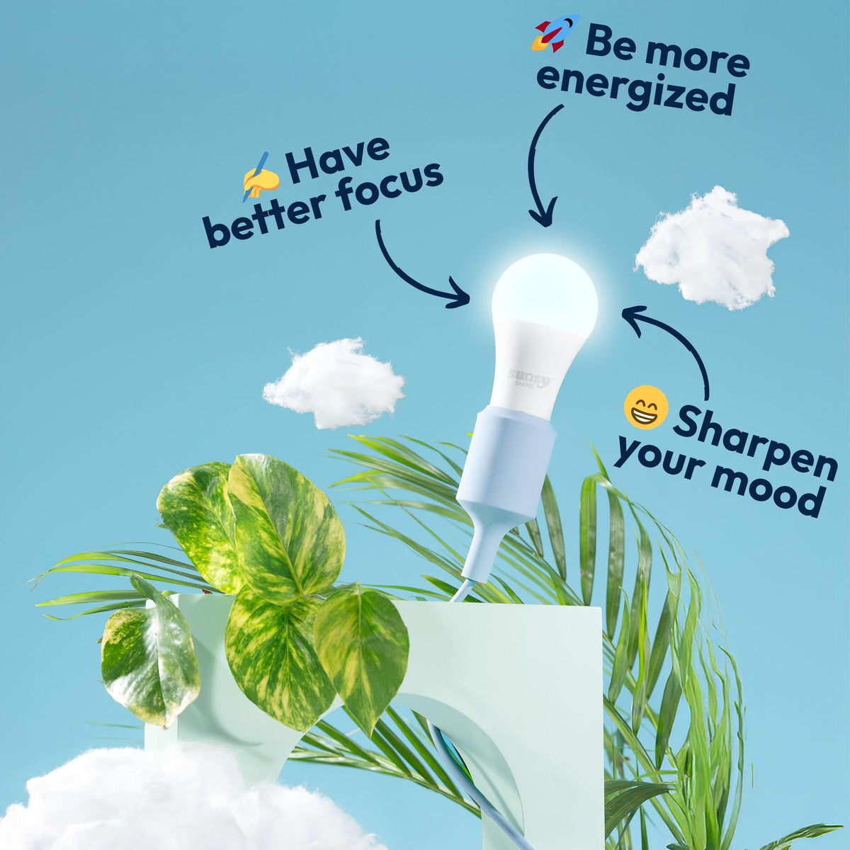 Sunsy Shine high-CRI color clarity in a room showcases true colors