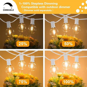 SUNTHIN dimmable brightness with remote enhances mood for dining or lounging