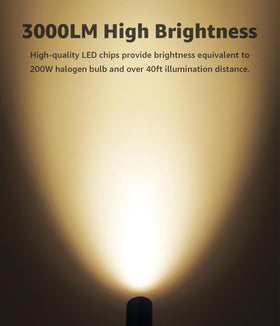 SUNVIE 30W spot light on driveway with narrow beam for clear access.