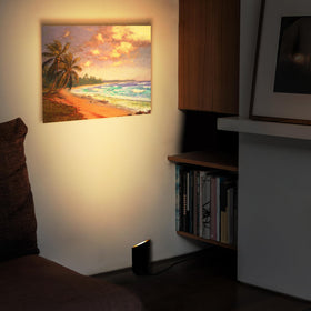 SUNVIE floor spotlight highlights art and decor on walls