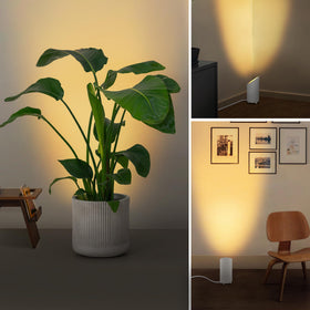 SUNVIE multi-scene uplighting for art, plants, and décor