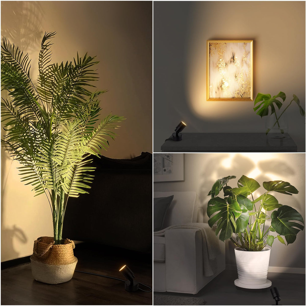 Sunvie plant lighting helps indoor greenery stand out with natural warmth