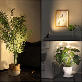 Sunvie plant lighting helps indoor greenery stand out with natural warmth