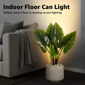 Sunvie up light floor can light foot switch demonstrates easy hands-free control.