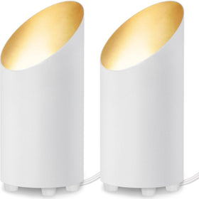 SUNVIE 2-pack floor uplight, front view, ideal for indoor accent lighting