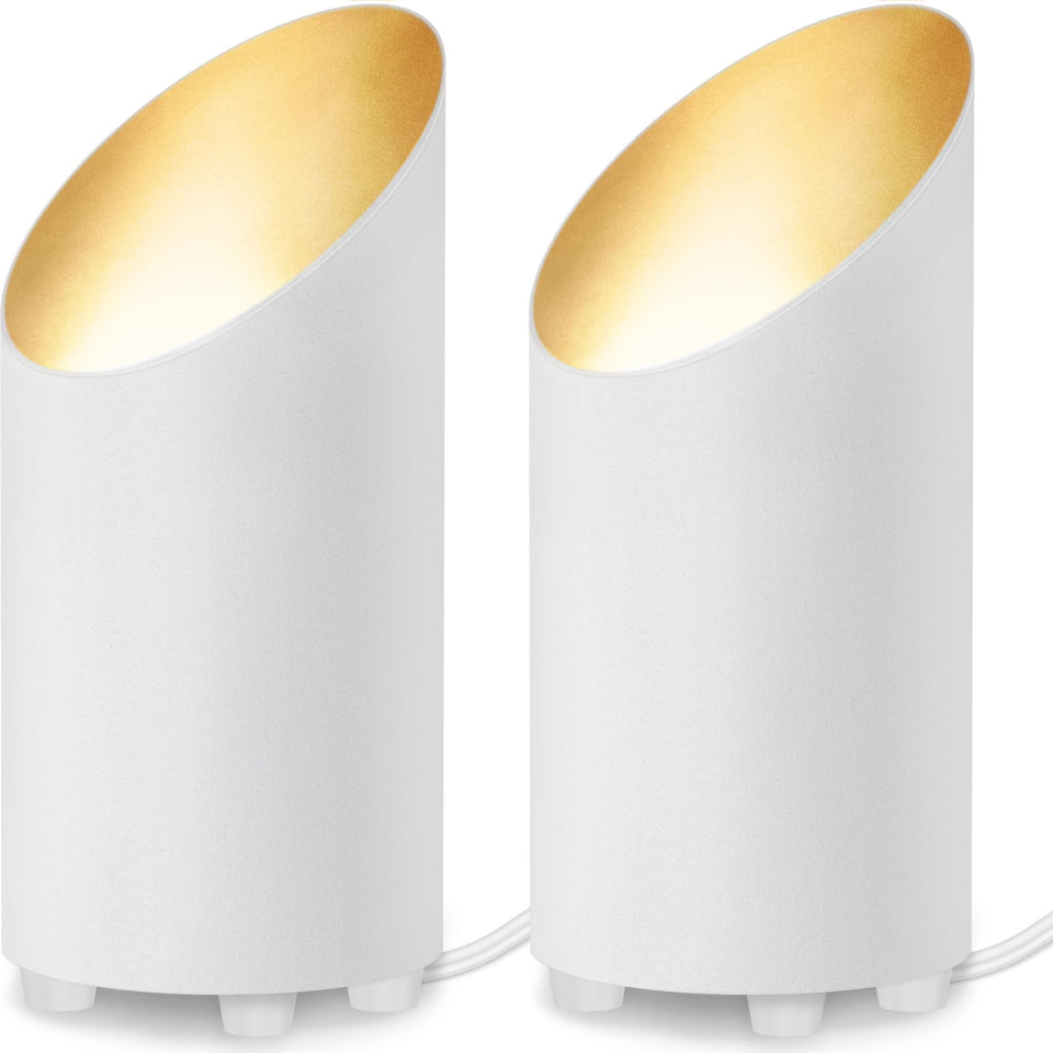 SUNVIE 2-pack floor uplight, front view, ideal for indoor accent lighting
