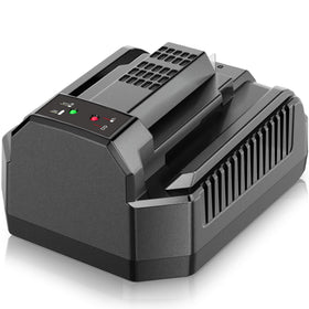 Supowill replacement rapid charger for EGO CH2100 powers 56V batteries rapidly
