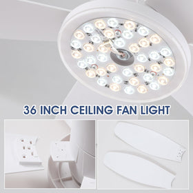 Surtime ceiling fan suitable for indoor spaces and covered patios.