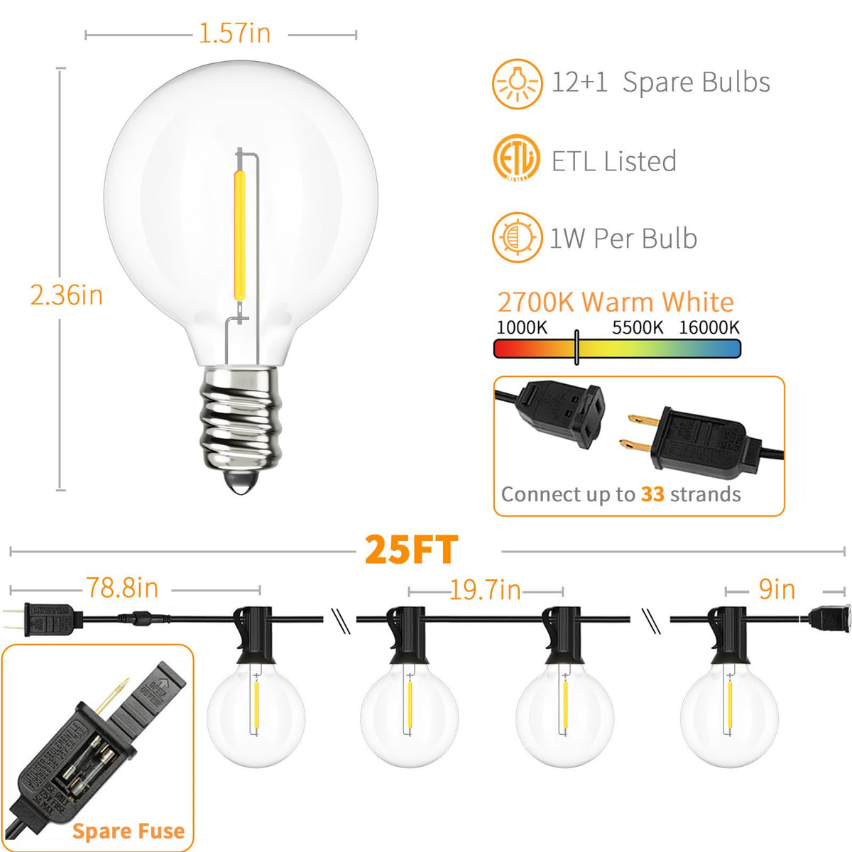 Svater 12 LED G40 globe bulbs plus spare for consistent lighting