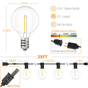 Svater 12 LED G40 globe bulbs plus spare for consistent lighting