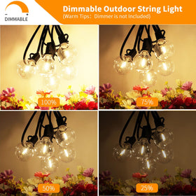 Svater lights with dimmable capability for customizable ambiance