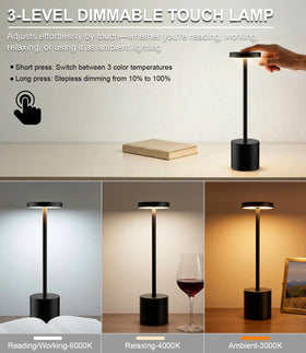 IP54-rated Swinerton lamp suitable for outdoor use in light rain