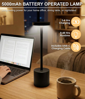 Portable Swinerton lamp weighs 0.8 lb for easy room-to-room use