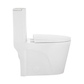12 inch rough-in compatibility for standard bathroom layouts.