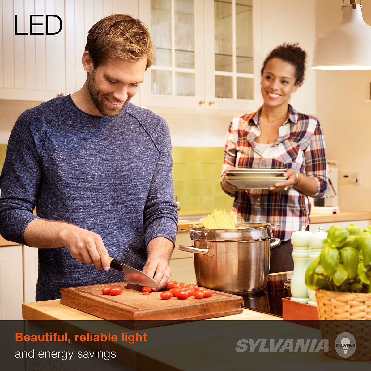 LEDVANCE Sylvania ECO LED A19 9W, practical 60W equivalent replacement