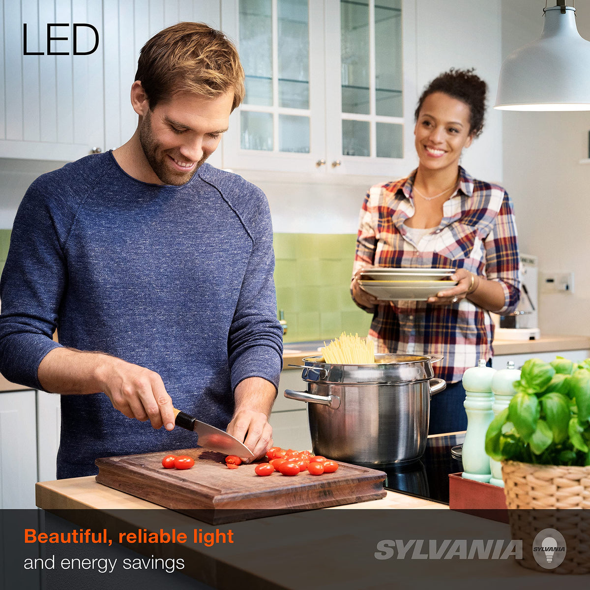 Sylvania Eco LED A19 non-dimmable frosted 5000K provides stable ceiling lighting