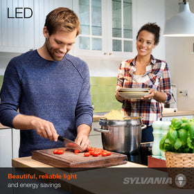 Sylvania Eco LED A19 non-dimmable frosted 5000K provides stable ceiling lighting
