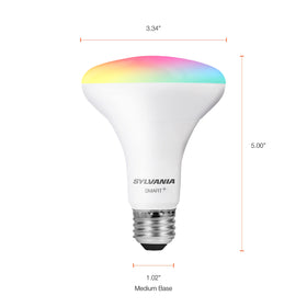Sylvania BR30 bulb suited for vacation lighting and away routines.