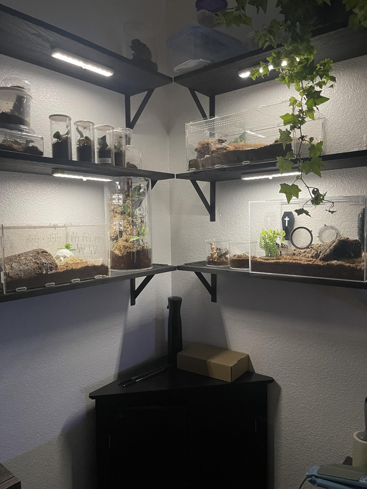 SZOKLED dimmable brightness up to 100% for precise illumination.