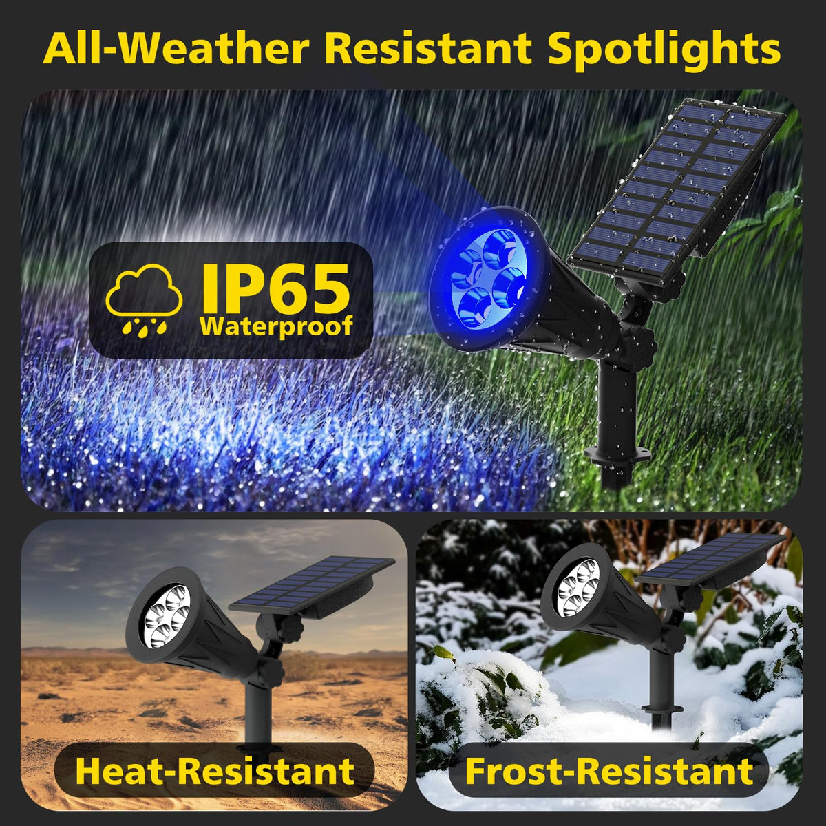 T-SUN blue solar spotlight lights path or driveway at night.