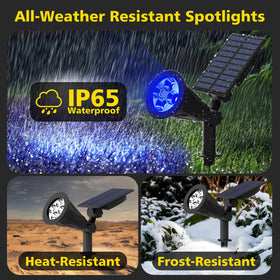 T-SUN blue solar spotlight lights path or driveway at night.