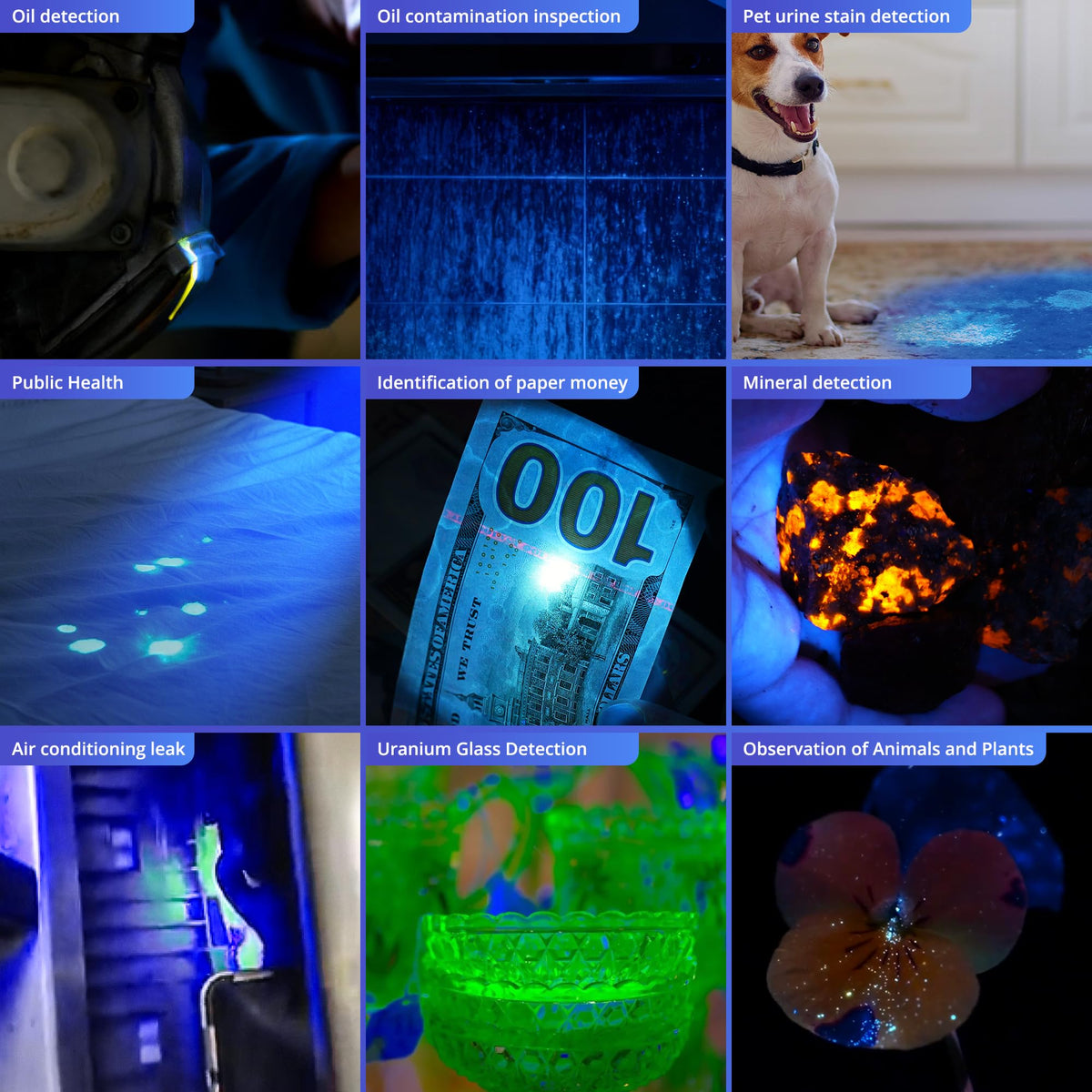 TactEagle UV Light Pen powered by two AAA batteries for portable use