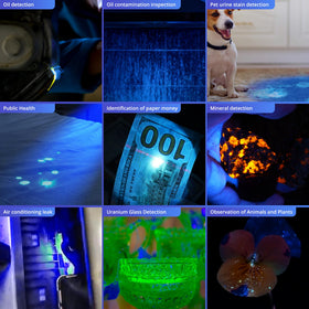 TactEagle UV Light Pen powered by two AAA batteries for portable use