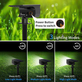 Tadyreal IP65 rating withstands rain and snow for lasting use.