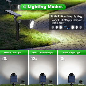 Tadyreal solar lights auto on/off ensures evening illumination without manual switches.