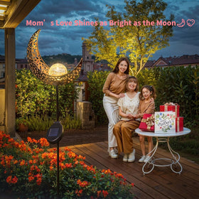 TAKE ME Moon Solar Light patio stake lighting for evenings.