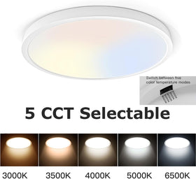 TALOYA 2 pack 12-inch LED flush mount lights brighten basements with slim, reliable illumination across temperatures.