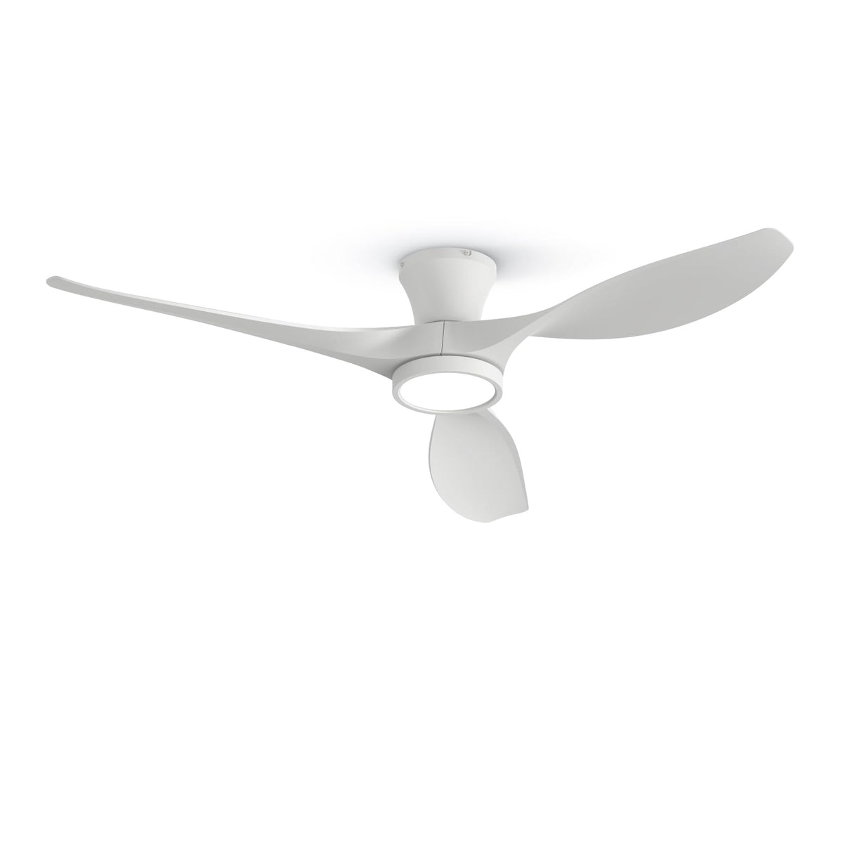 TALOYA indoor/outdoor compatible fan suited for covered spaces.