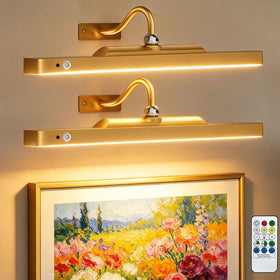 TANBABY 16 inch gold picture light illuminating artwork with true color rendering.