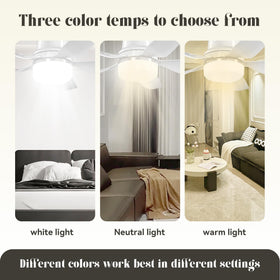 Tandanic LED dimmable 3000K-6500K delivers adjustable ambient lighting for tasks and relaxation