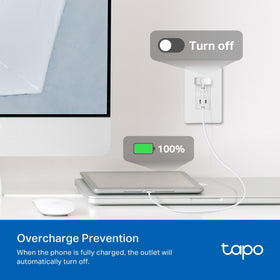 Tapo P110M voice control with Alexa and Google Assistant for hands-free management.
